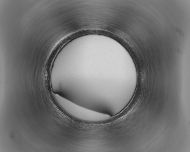 X0000112910926200909141248