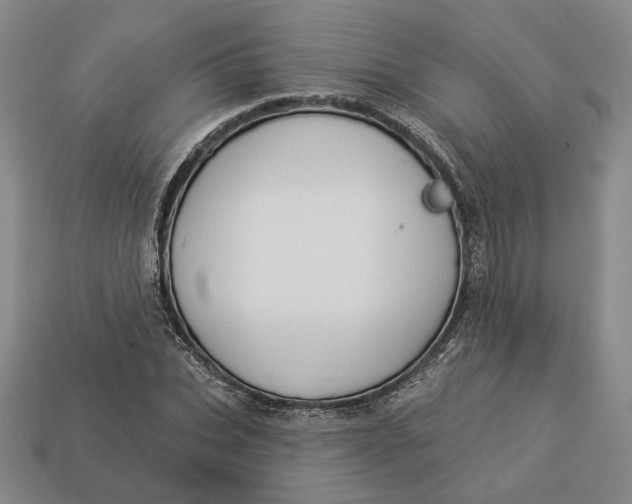 X0000112910927200909141248