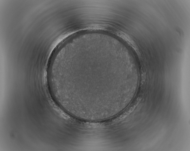 X0000112910928200909141248