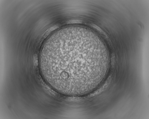 X0000112910929200909141248