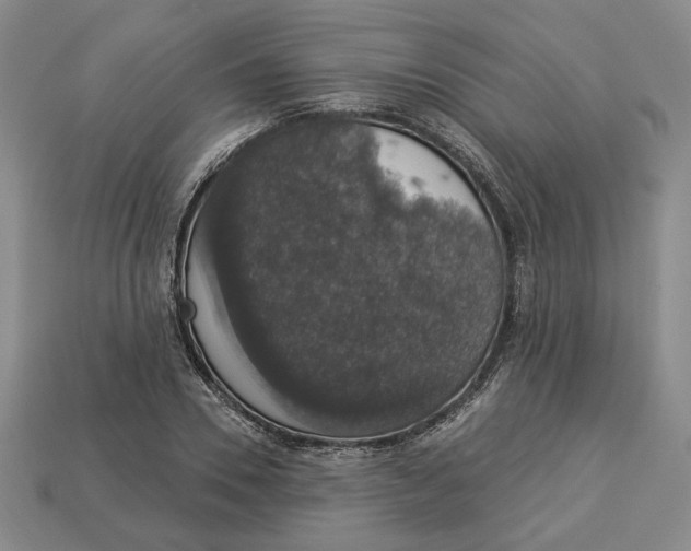 X0000112910930200909141248