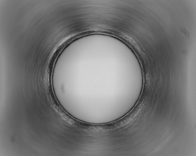 X0000112910931200909141248