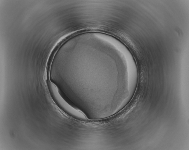 X0000112910932200909141248