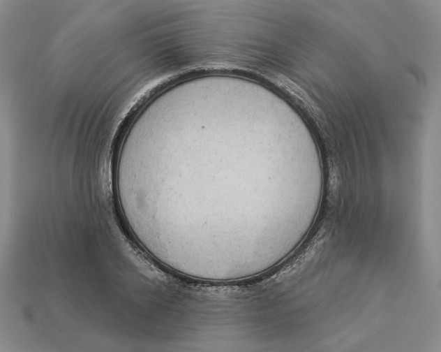 X0000112910934200909141248