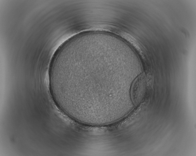 X0000112910936200909141248