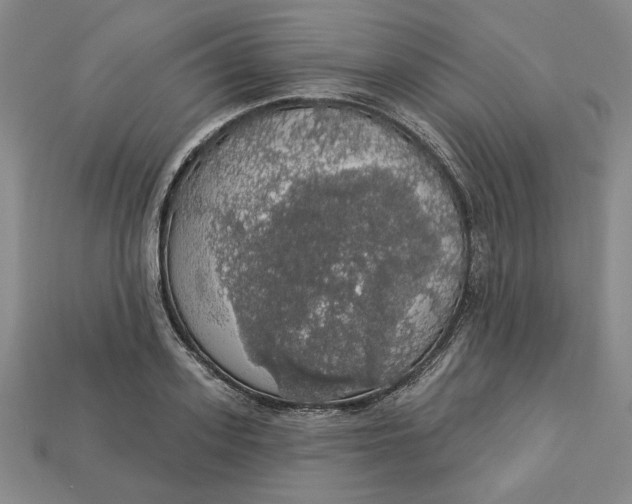 X0000112910939200909141248