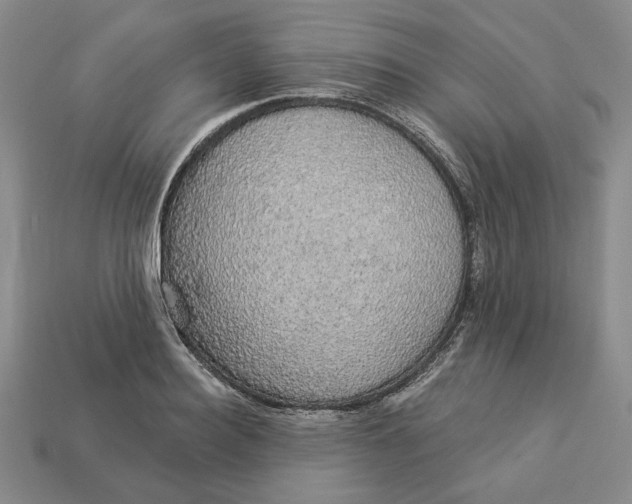 X0000112910940200909141248