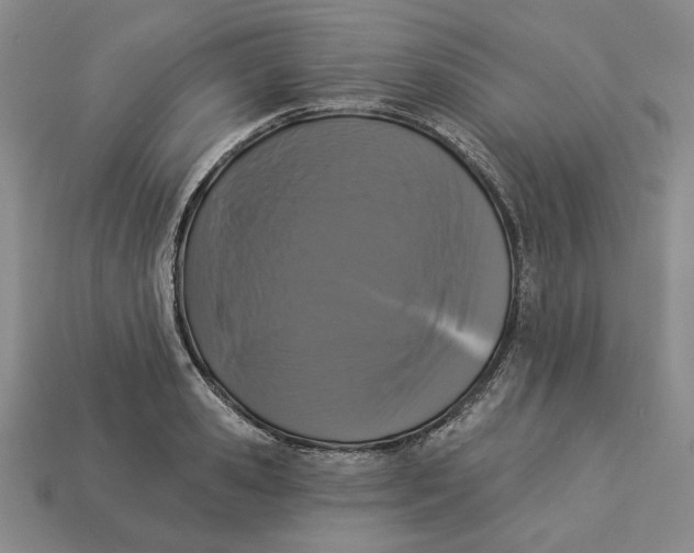 X0000112910941200909141248