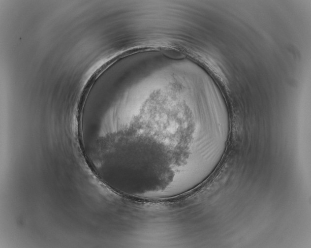 X0000112910944200909141248