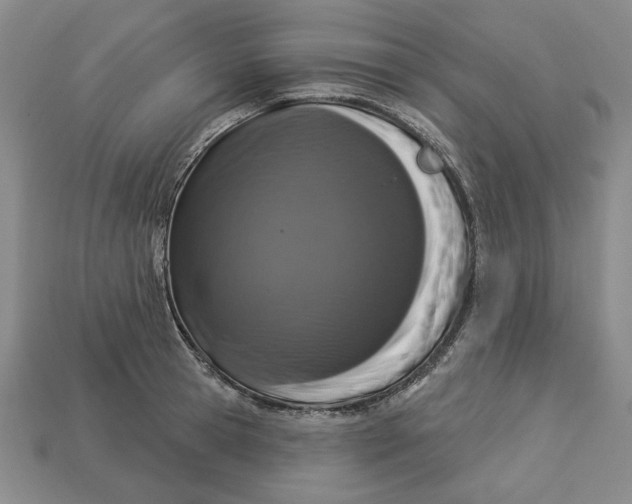 X0000112910945200909141248