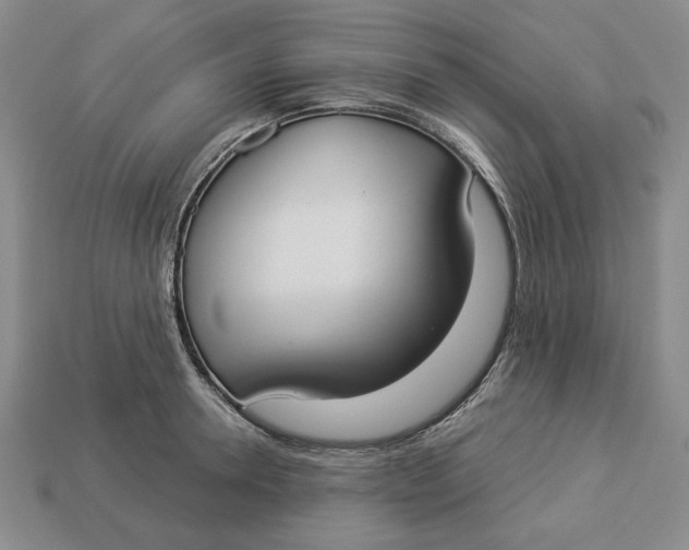 X0000112910946200909141248