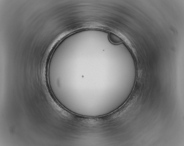 X0000112910947200909141248