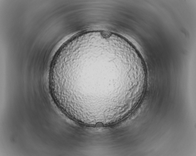 X0000112910949200909141248