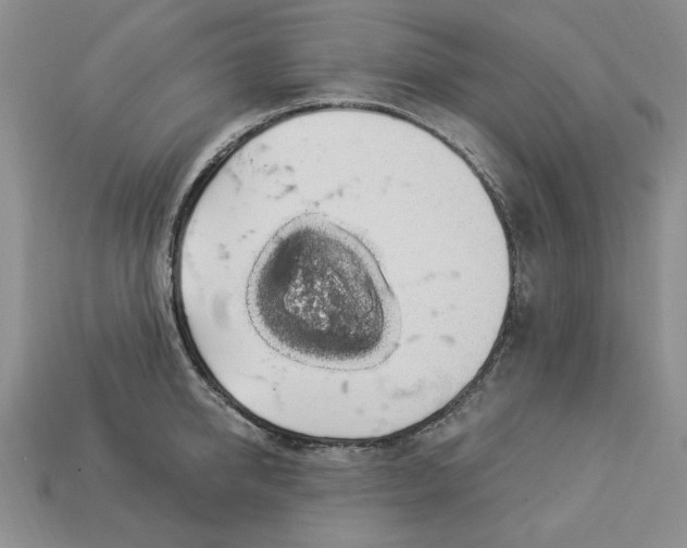 X0000112910950200909141248