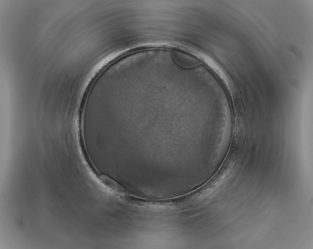 X0000112910951200909141248