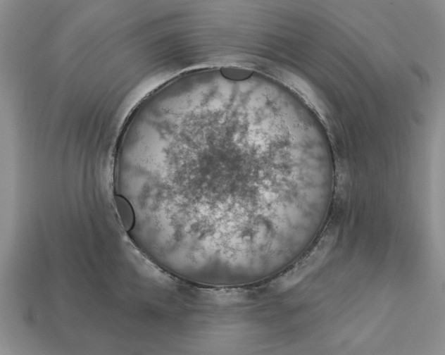 X0000112910952200909141248