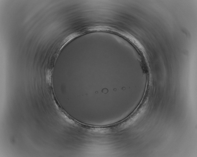 X0000112910953200909141248