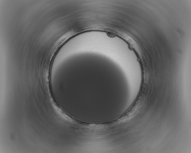 X0000112910954200909141248