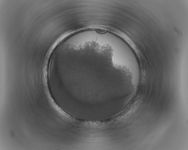 X0000112910955200909141248