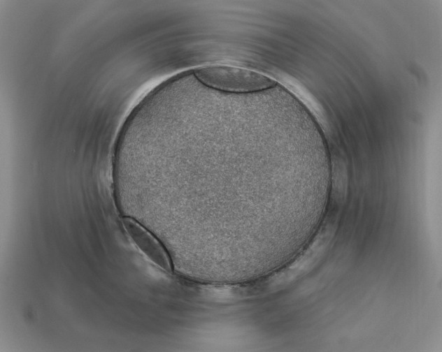 X0000112910956200909141248