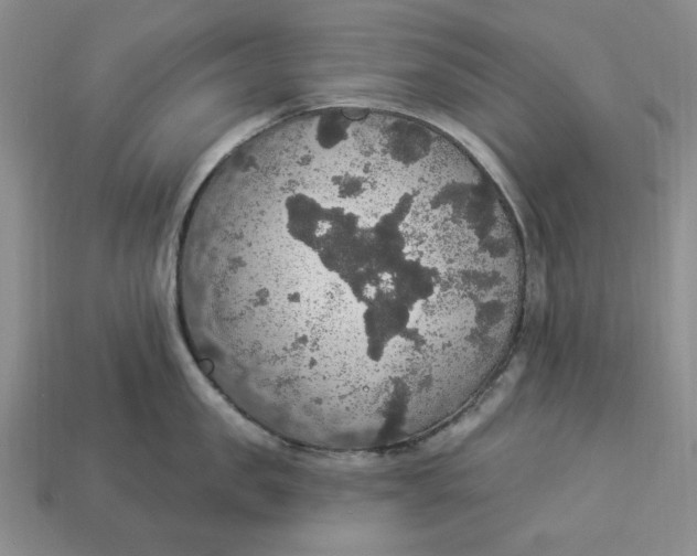 X0000112910957200909141248