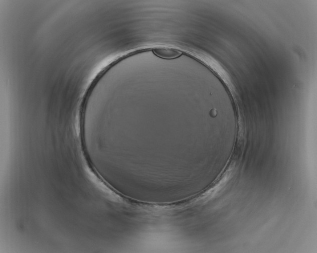 X0000112910958200909141248