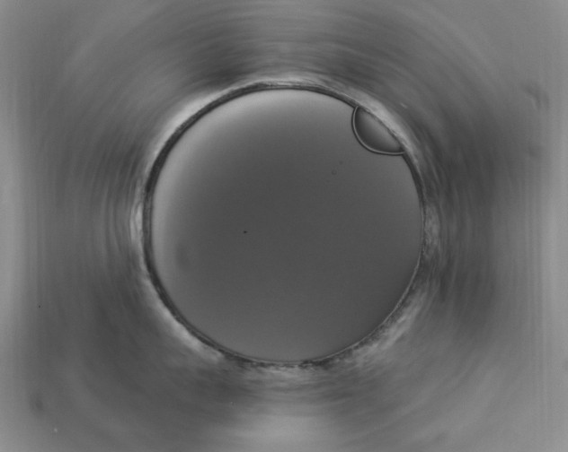 X0000112910959200909141248