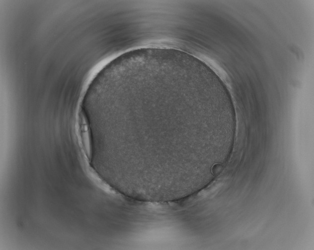 X0000112910960200909141248