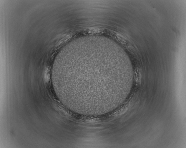 X0000112910962200909141248