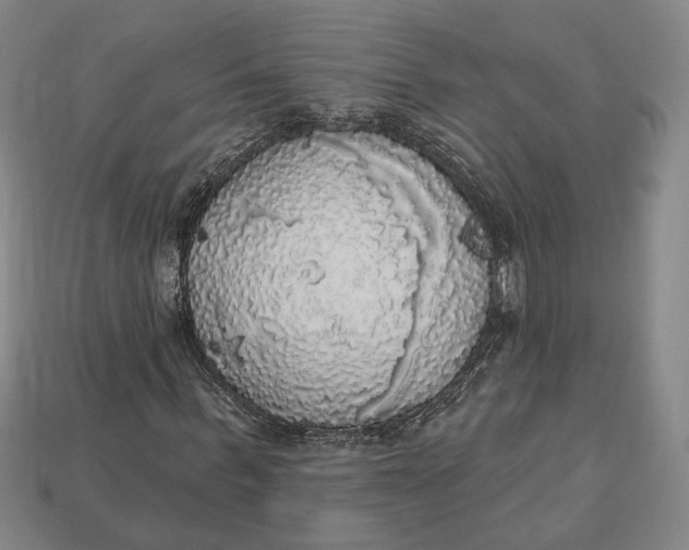 X0000112910963200909141248