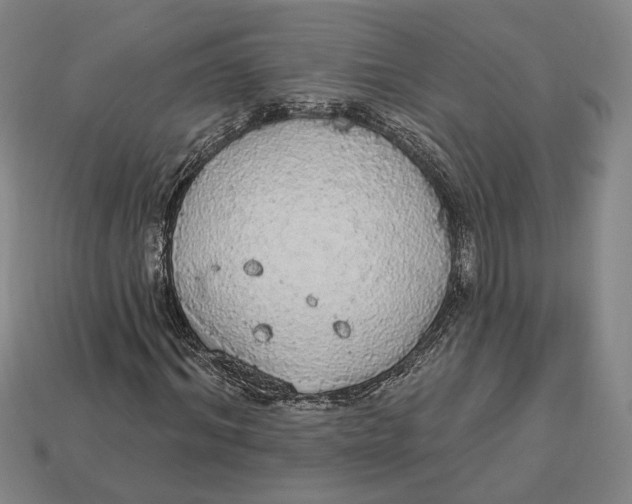 X0000112910964200909141248