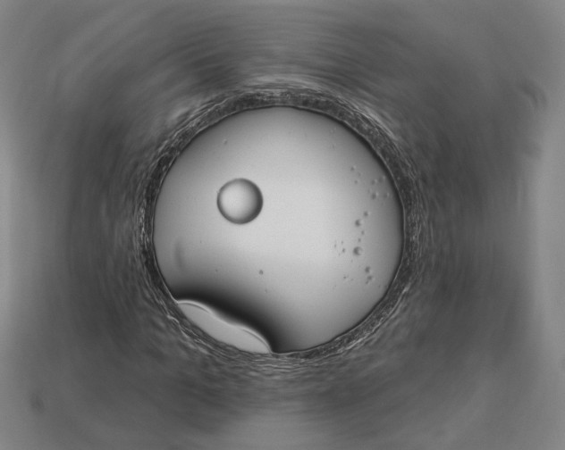 X0000112910965200909141248