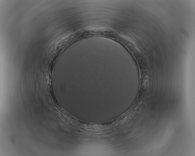 X0000112910966200909141248