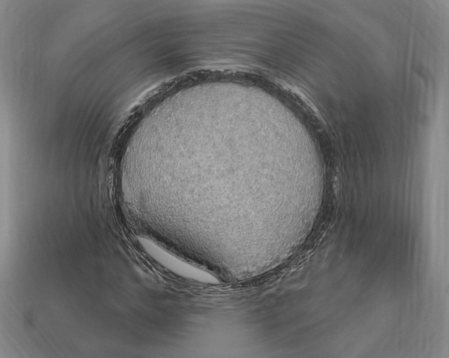 X0000112910968200909141248