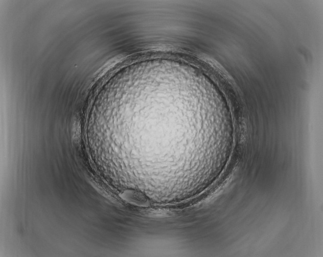 X0000112910969200909141248