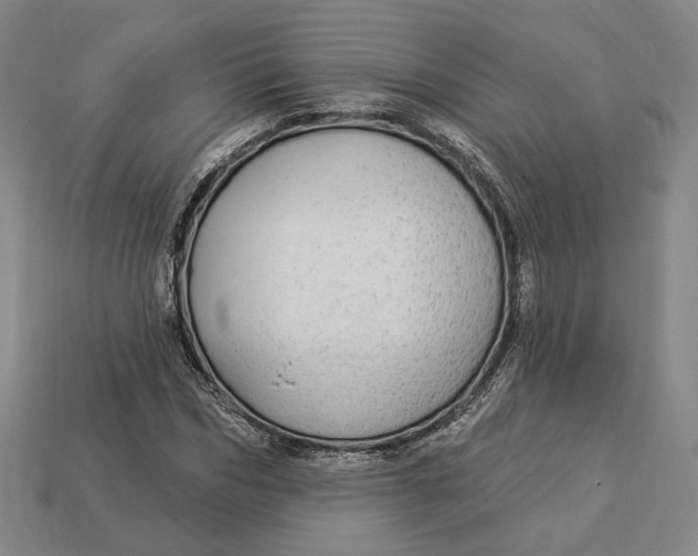 X0000112910970200909141248