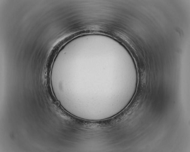 X0000112910971200909141248