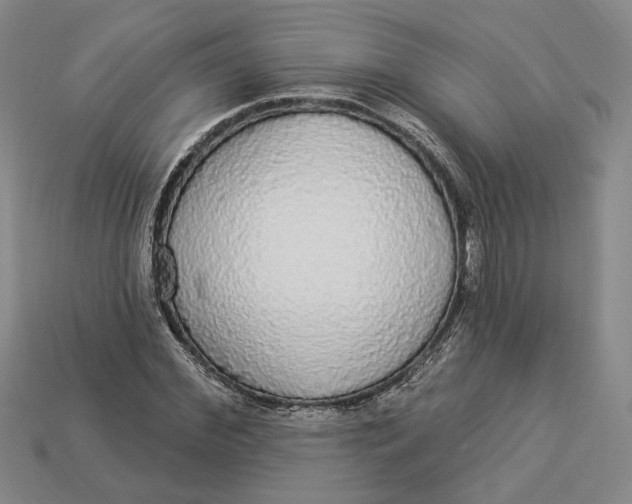 X0000112910972200909141248