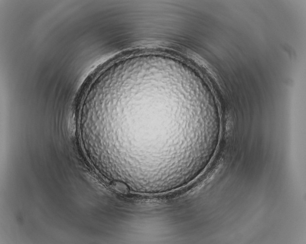 X0000112910973200909141248