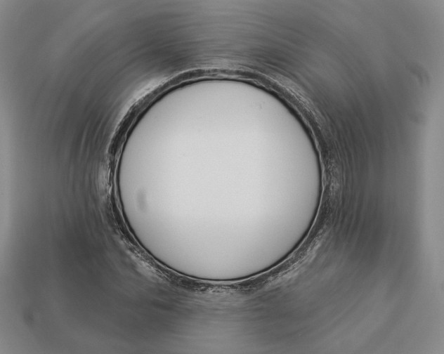 X0000112910974200909141248