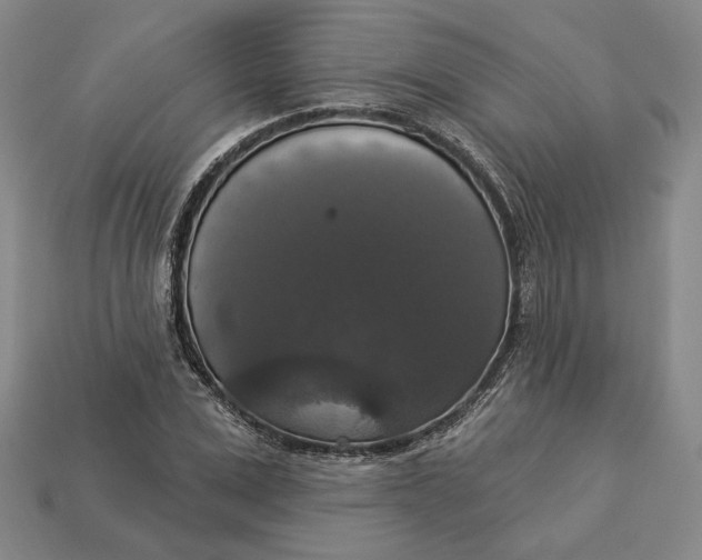 X0000112910975200909141248