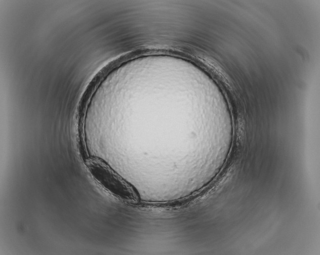 X0000112910976200909141248