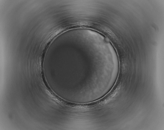 X0000112910977200909141248