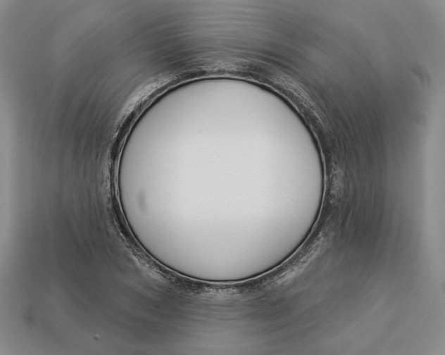 X0000112910978200909141248