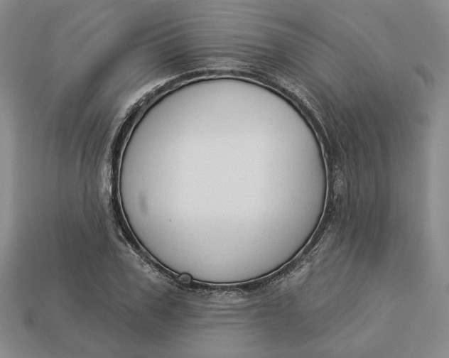 X0000112910979200909141248