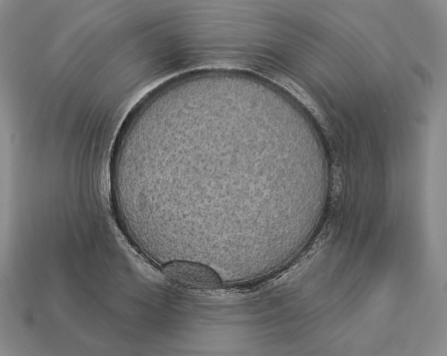 X0000112910980200909141247