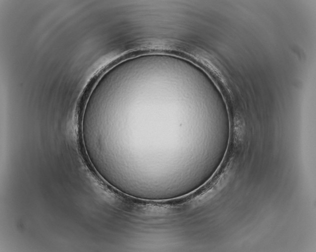 X0000112910981200909141247