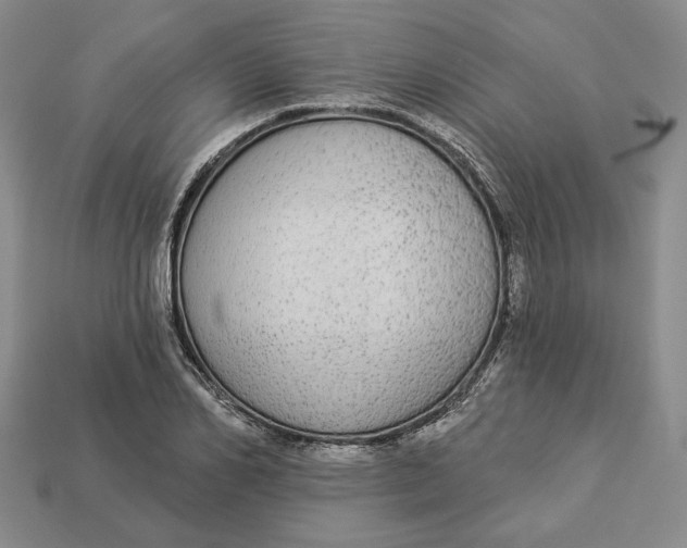 X0000112910982200909141247