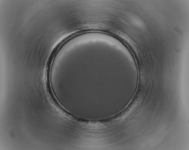 X0000112910983200909141247