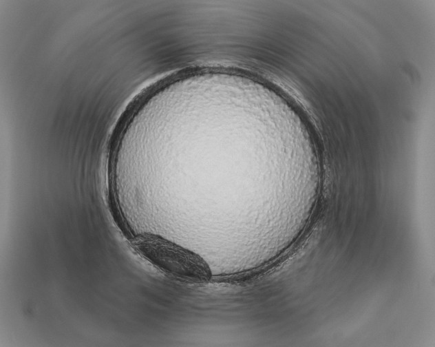 X0000112910984200909141247